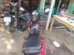 Walton Fusion 110